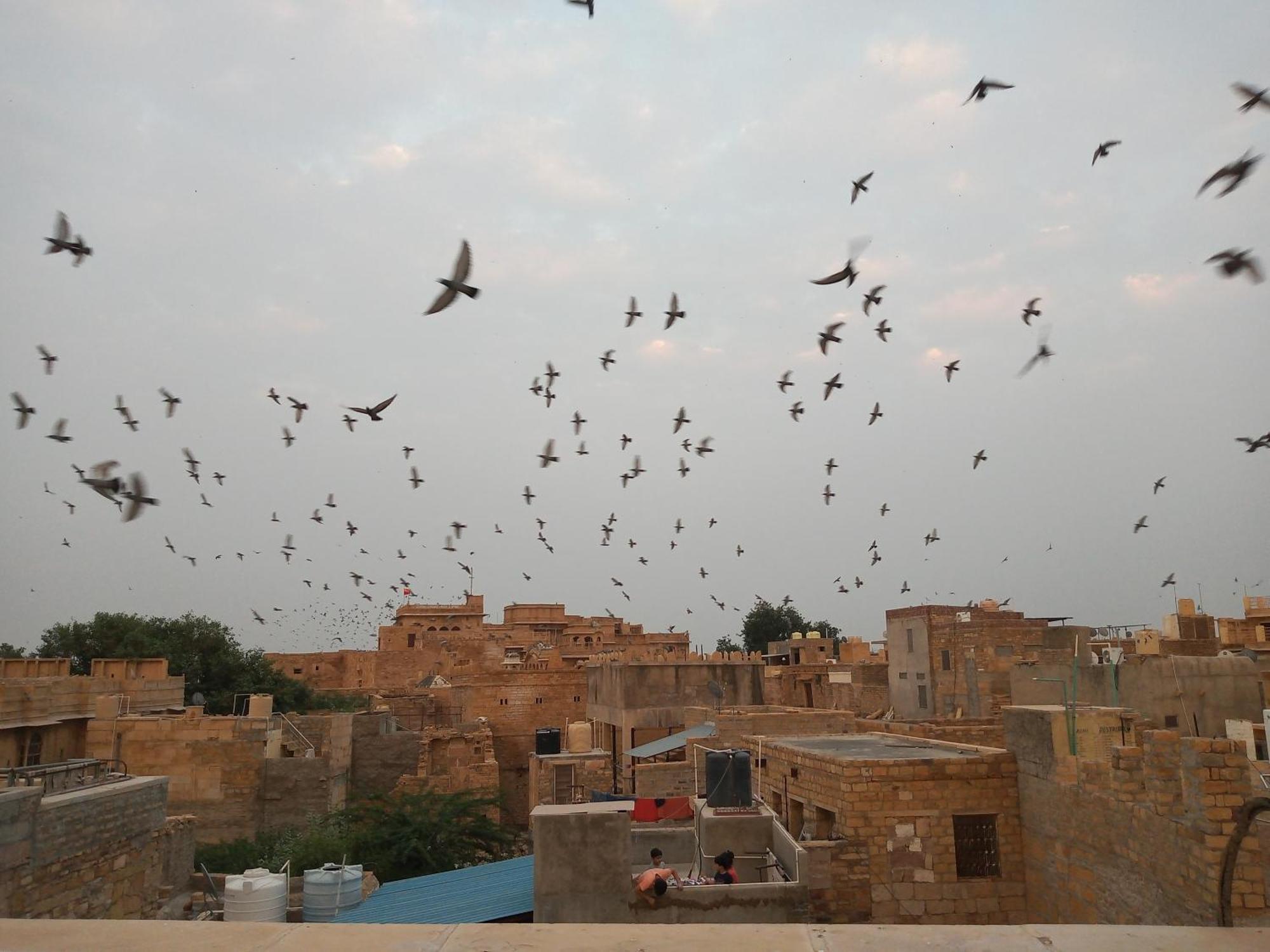 Hotel Himmat Niwas Jaisalmer Εξωτερικό φωτογραφία